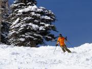 Skiing Mt Buller